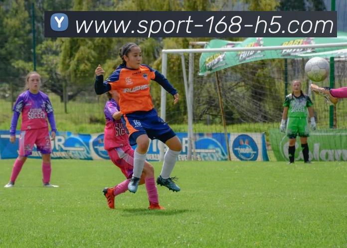 168体育服务体系