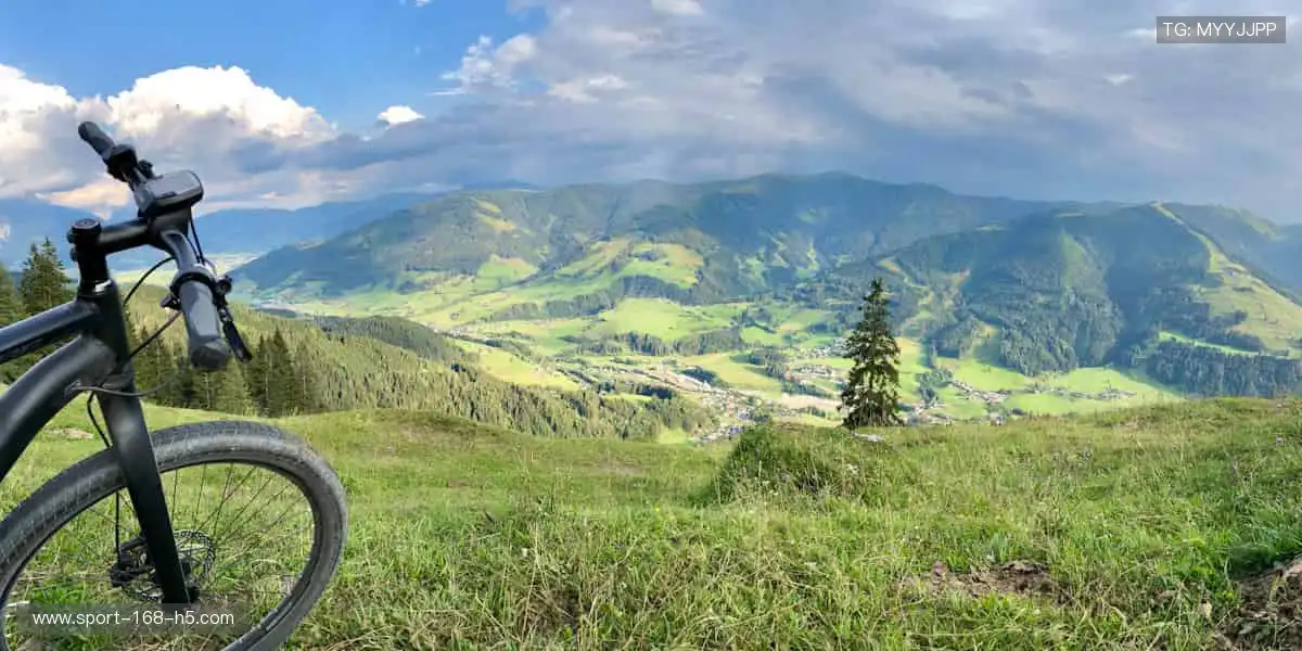 运动不止，精彩不停，官网更新你的体育日常！⏳🏃